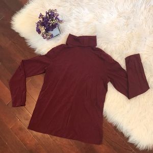 Maroon Rafaella Stretchy Turtleneck